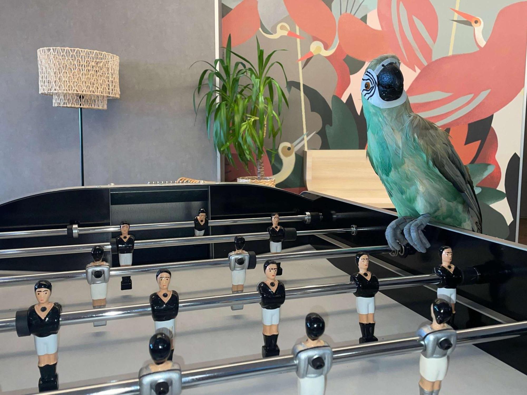 מלון Ibis Styles Rennes Cesson מראה חיצוני תמונה